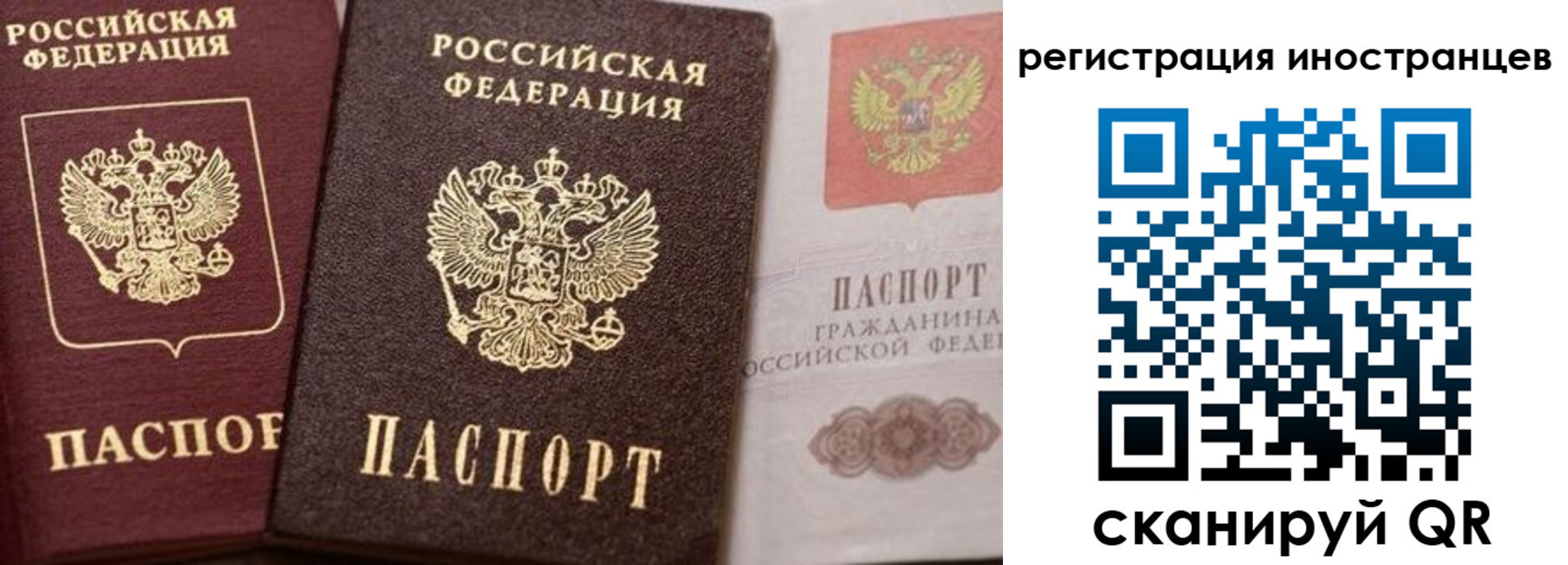временная регистрация купить в Бородино